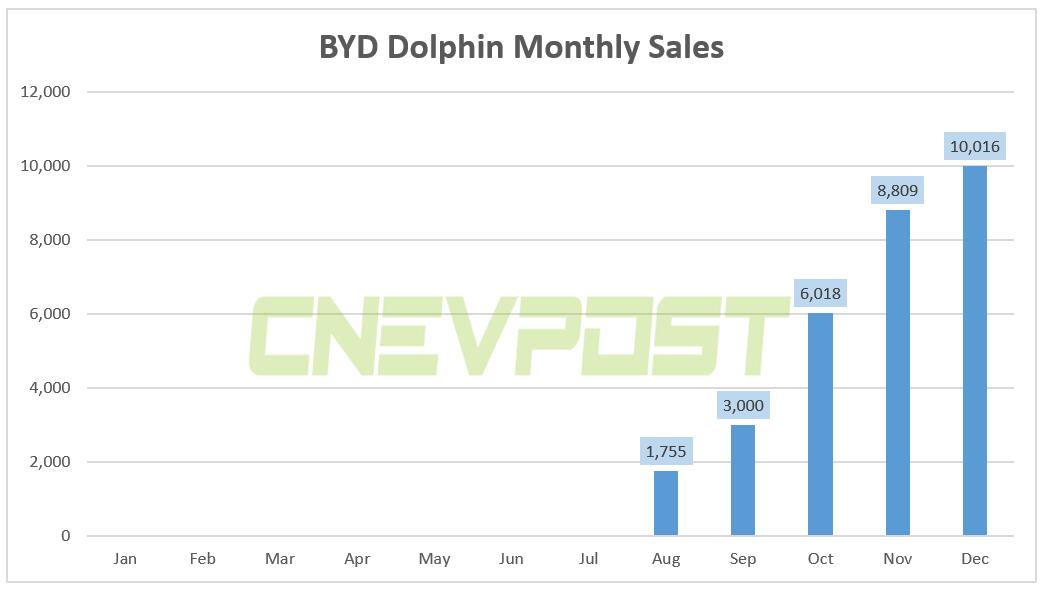 BYD Dolphin sold 10,016 units in Dec, up 13.7% from Nov-CnEVPost