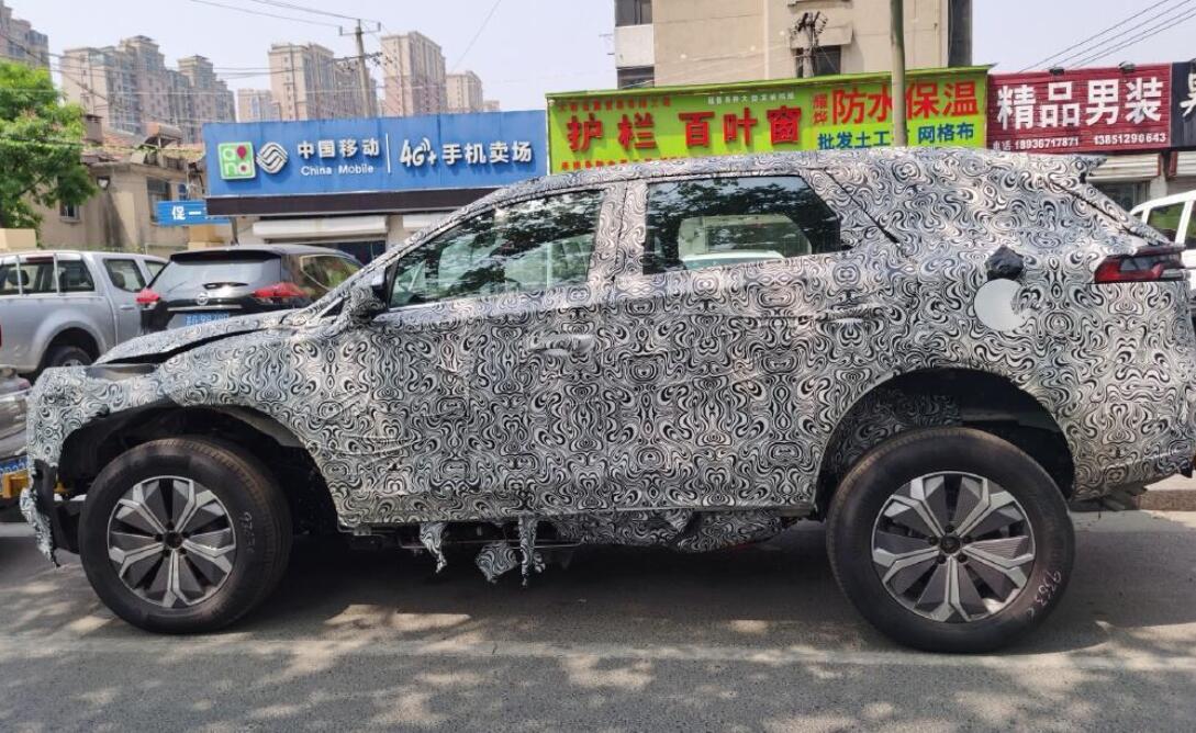 BYD's premium sub-brand's first model to be unveiled in Q4, exec says-CnEVPost